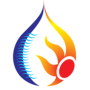 The Fuel Effect logo