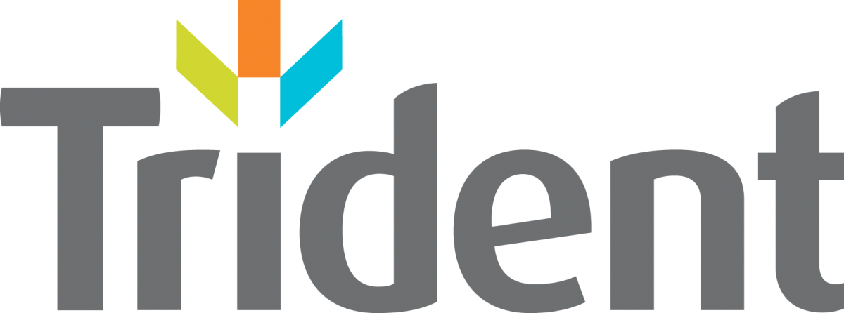 Trident Building Consultancy logo
