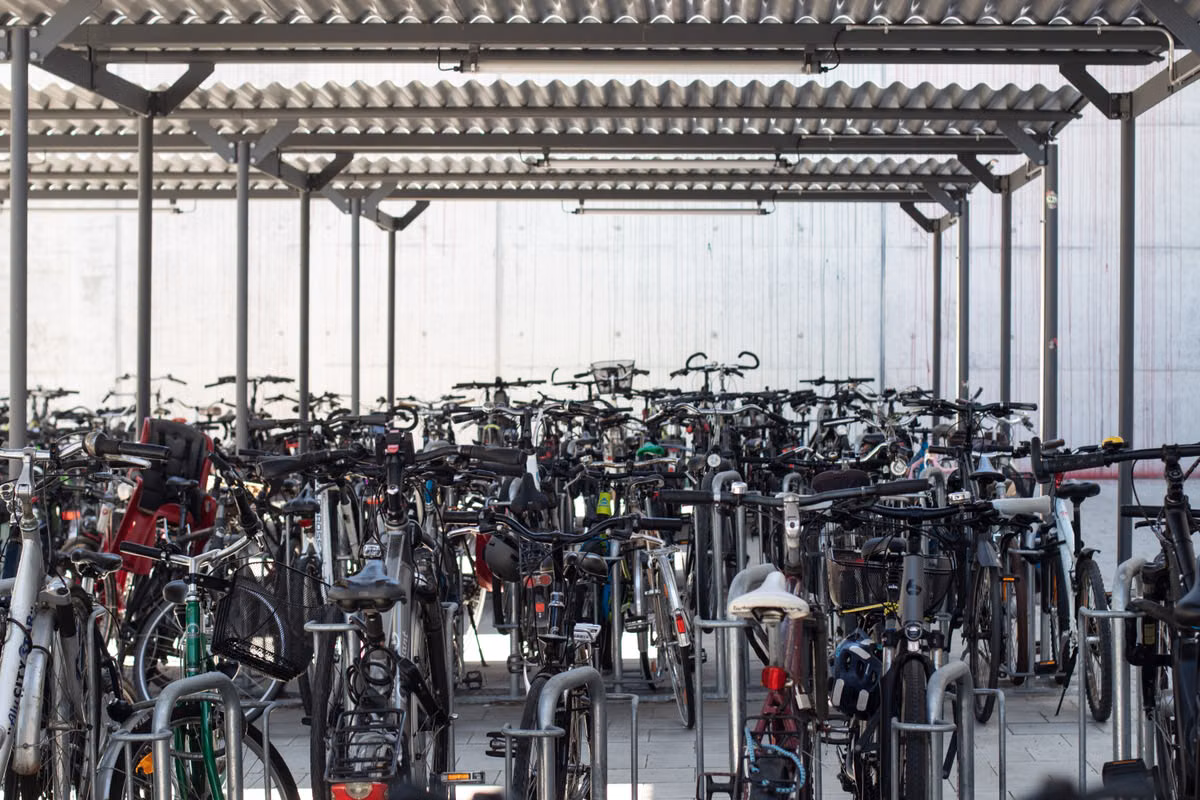 Rows of bicycles parked in metal stands under a covered cycle shelter with a corrugated roof.